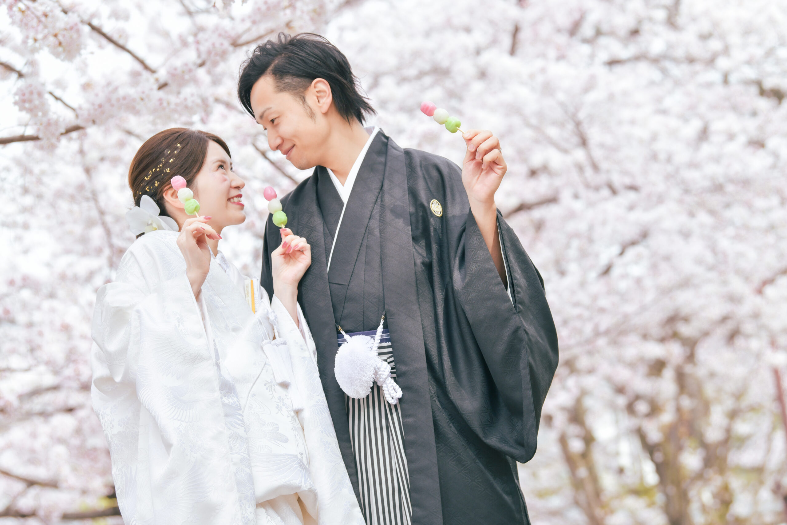 【早期申込キャンペーン】桜