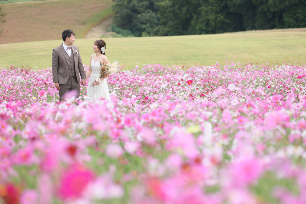 あわじ花さじき花畑撮影〜コスモス・サルビア〜 洋装