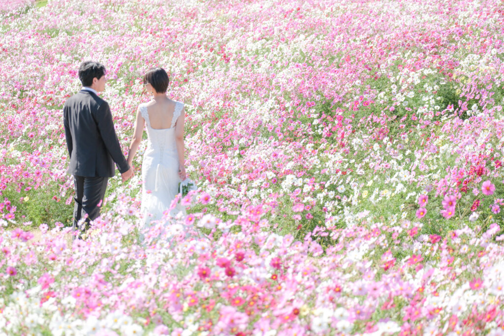 あわじ花さじき花畑撮影〜コスモス・サルビア〜 洋装