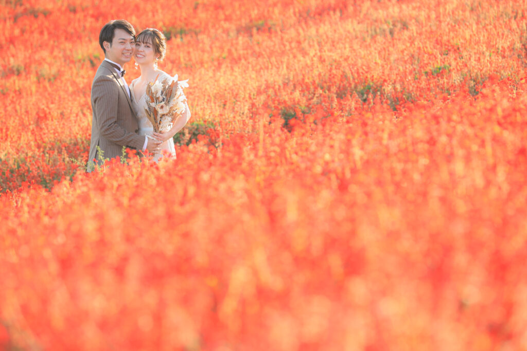 あわじ花さじき花畑撮影〜コスモス・サルビア〜 洋装