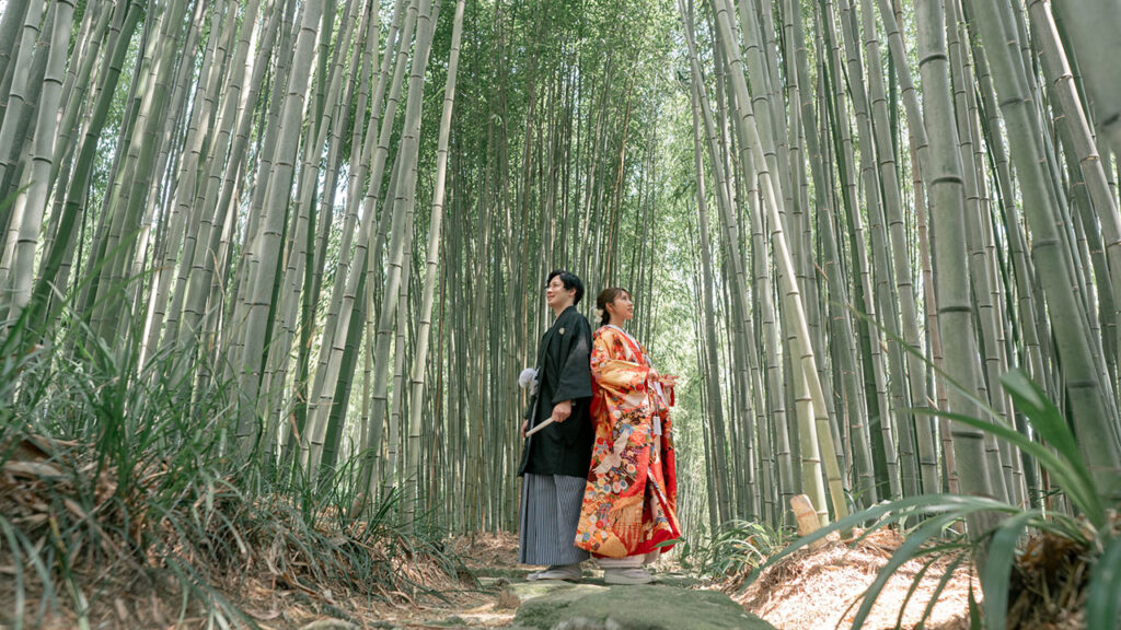 京都洛西竹林公園