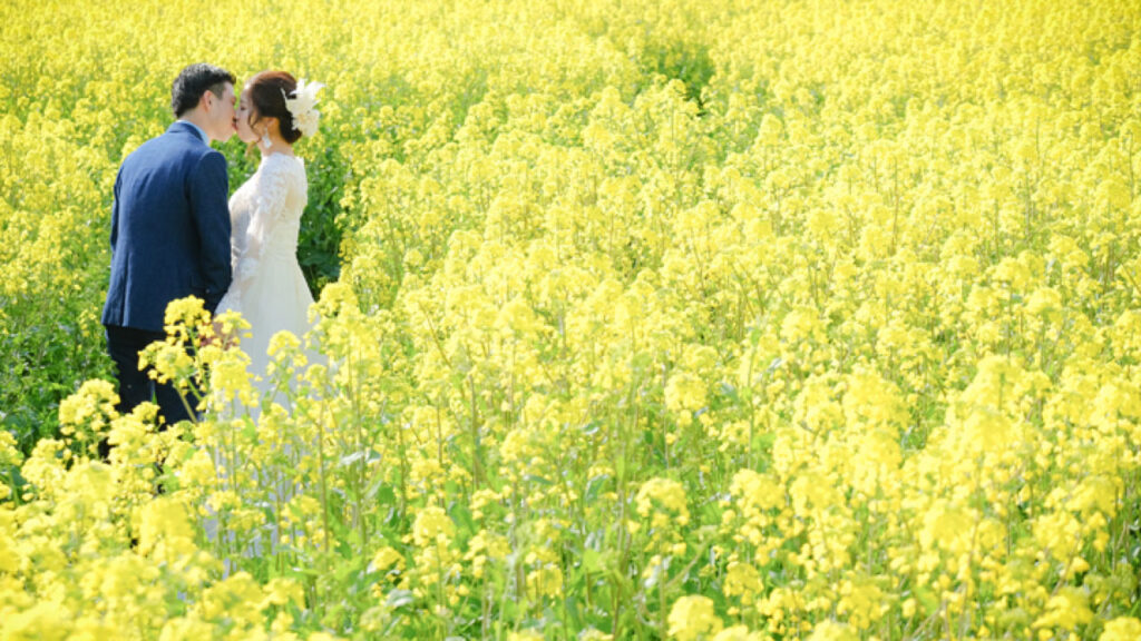 菜の花畑（淡路島）