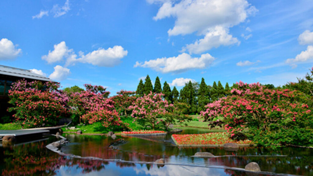 梅小路公園