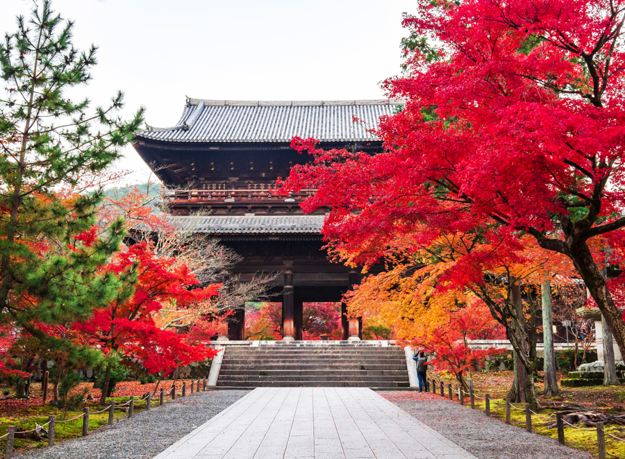 【2025年最新版】京都の紅葉シーズンを彩る特別な一日