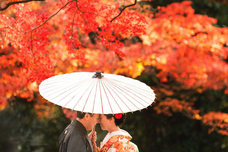 【2025年最新版】京都の紅葉シーズンを彩る特別な一日