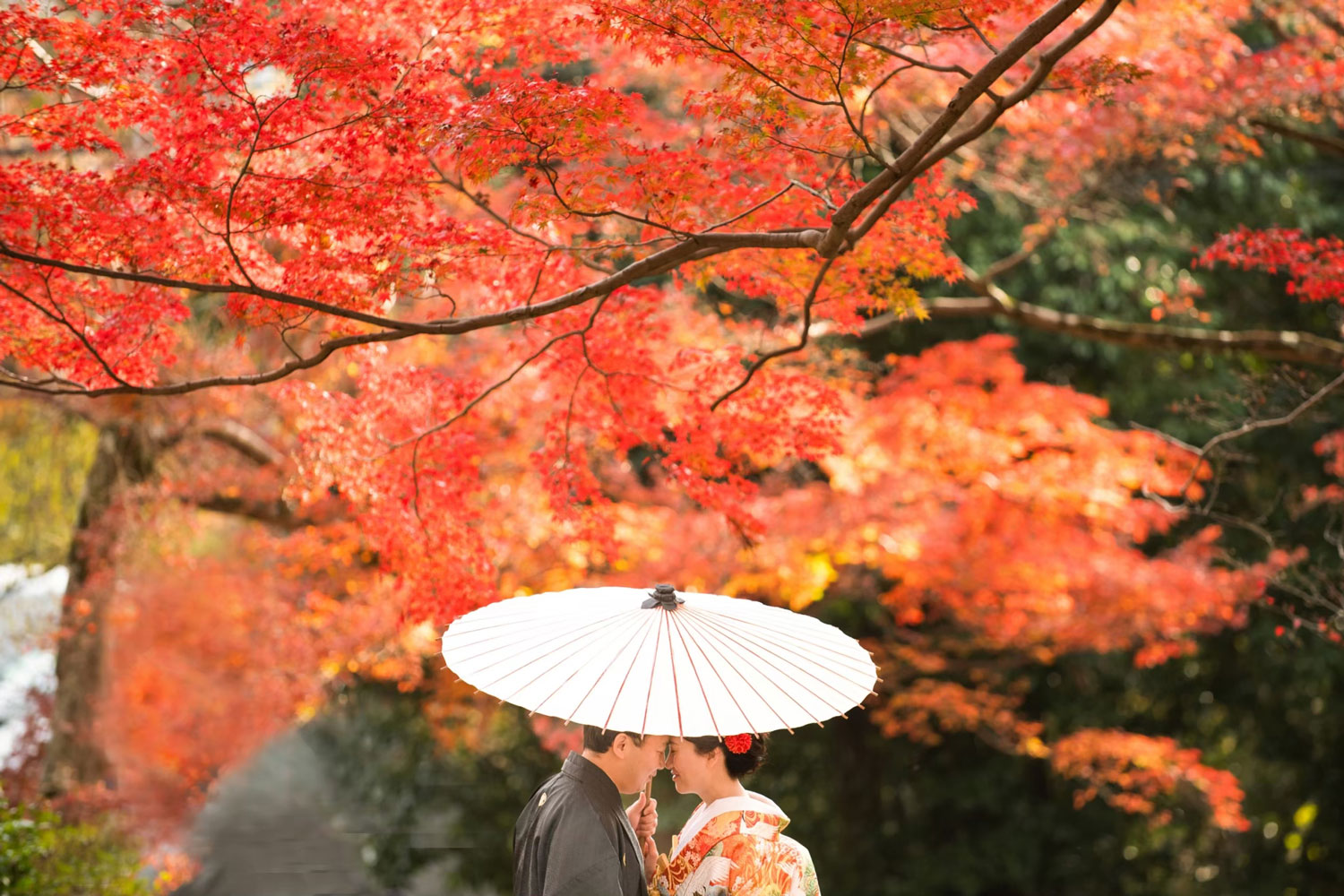 京都紅葉フォトウェディング｜おすすめ人気ロケ地特集