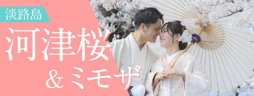 【早春キャンペーン】ミモザ＆河津桜撮影プラン