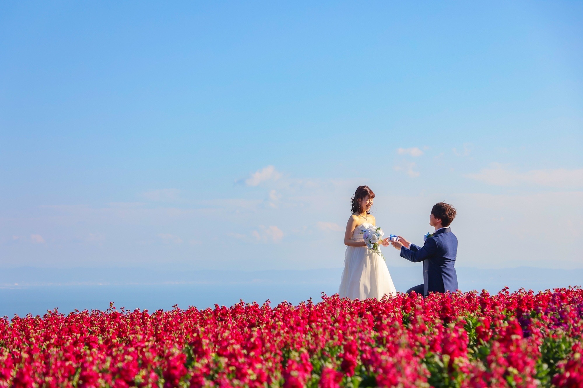 淡路島フォトウェディング 撮影例