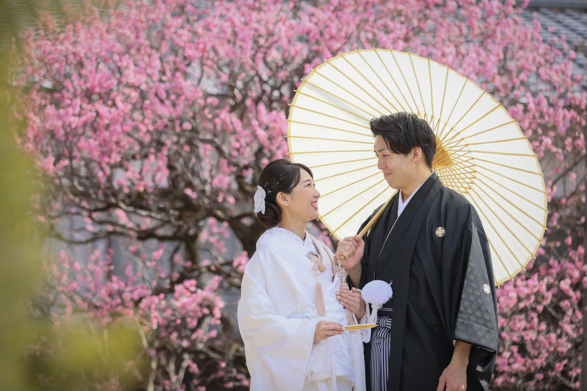 【早春キャンペーン】梅