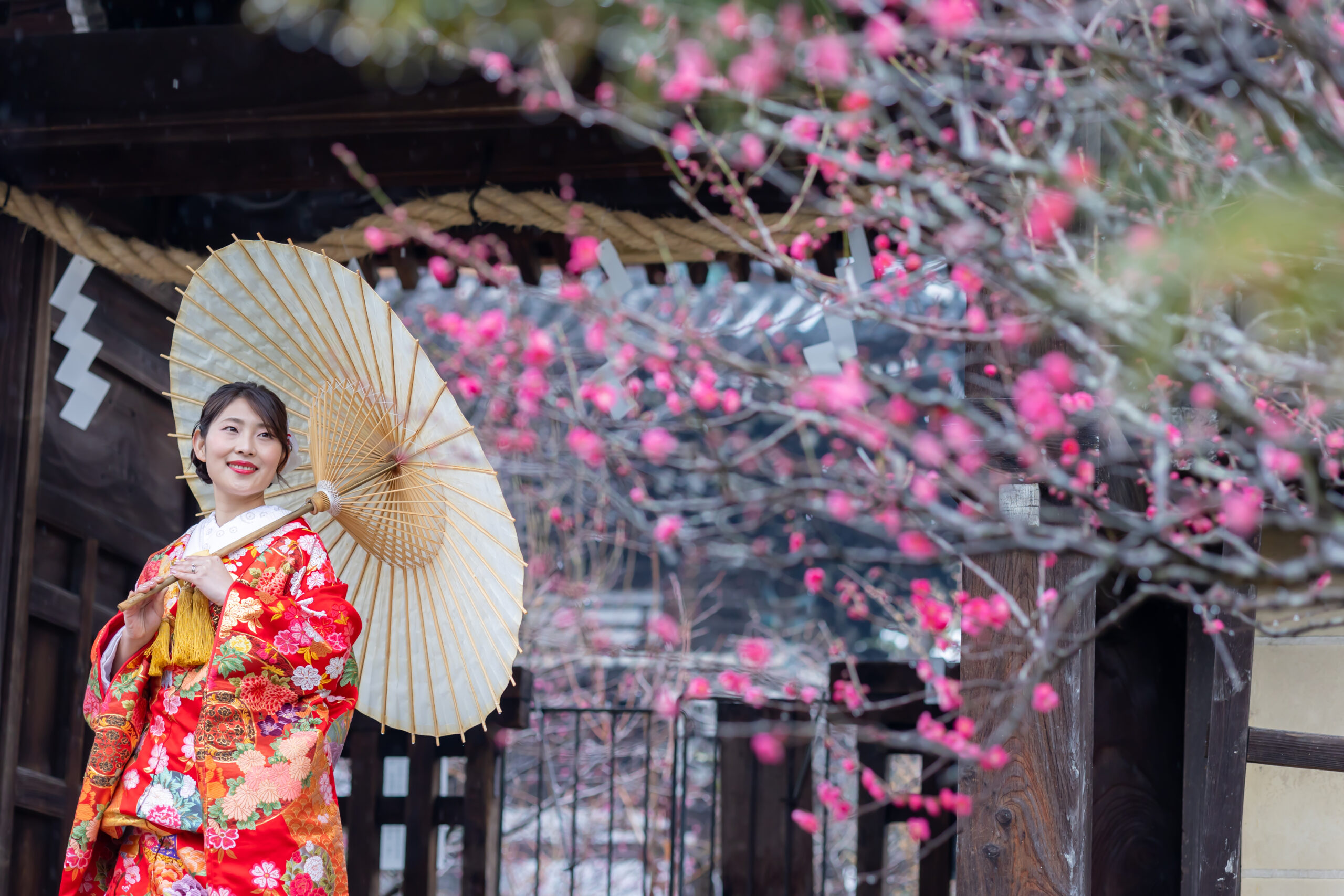 【早春キャンペーン】梅