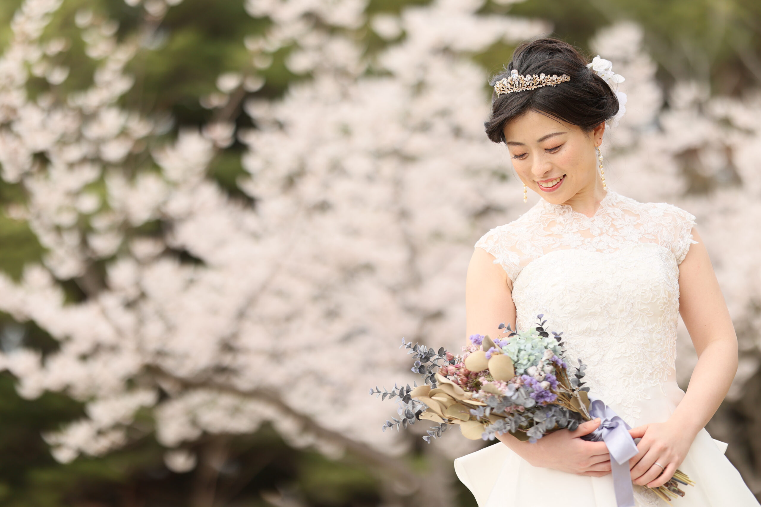 【早期申込キャンペーン】桜