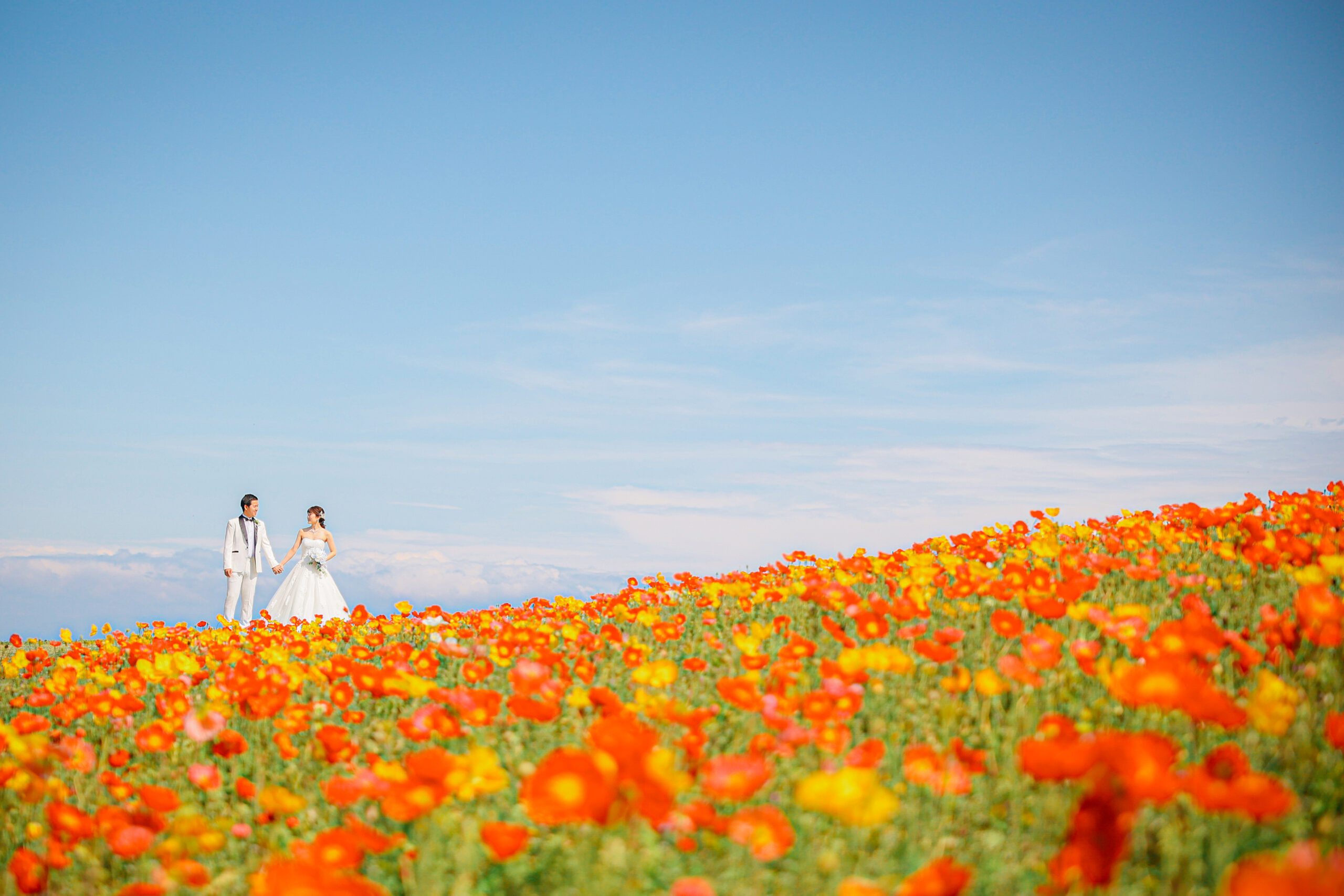 淡路島フォトウェディング 撮影例