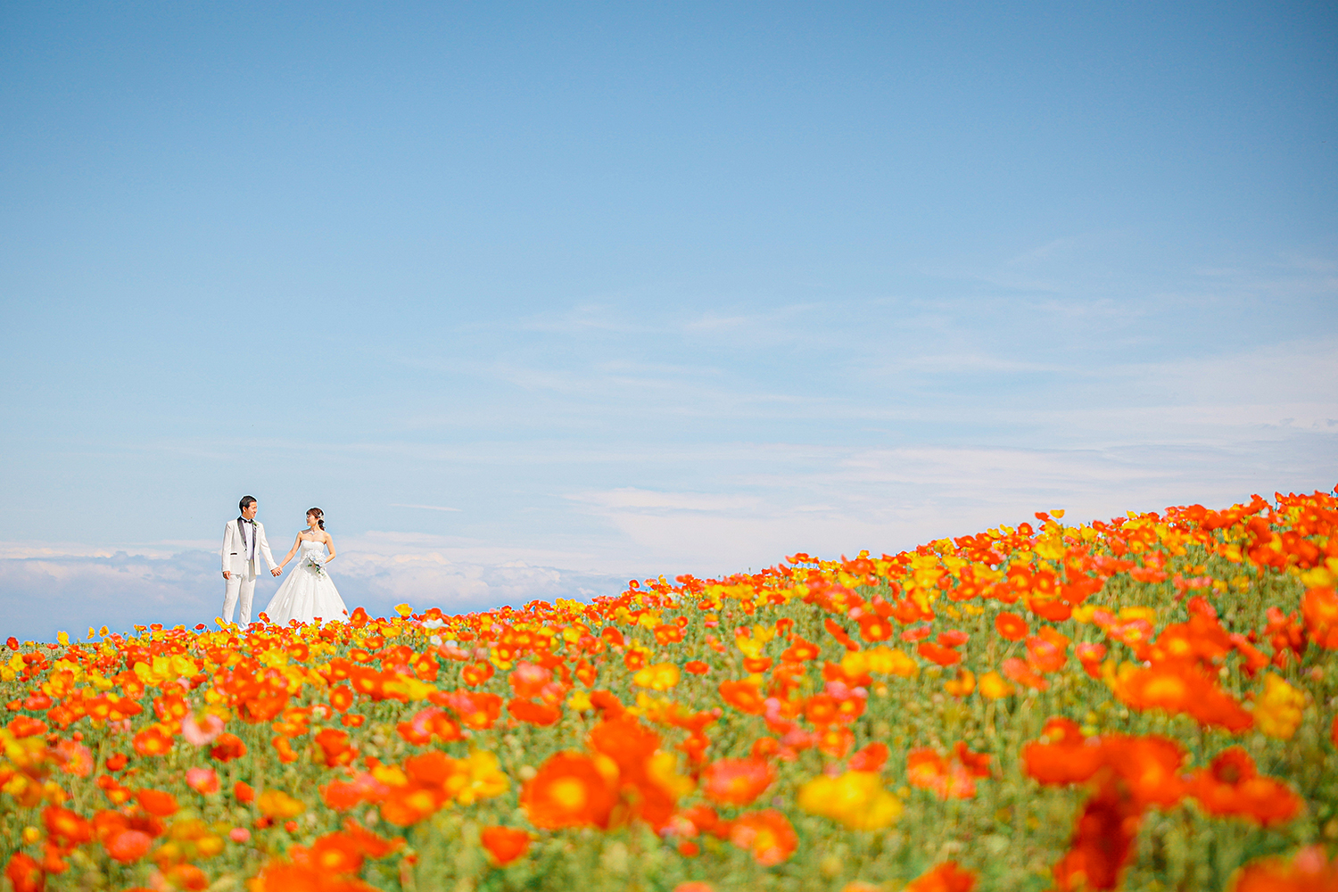 淡路島フォトウェディング 撮影例