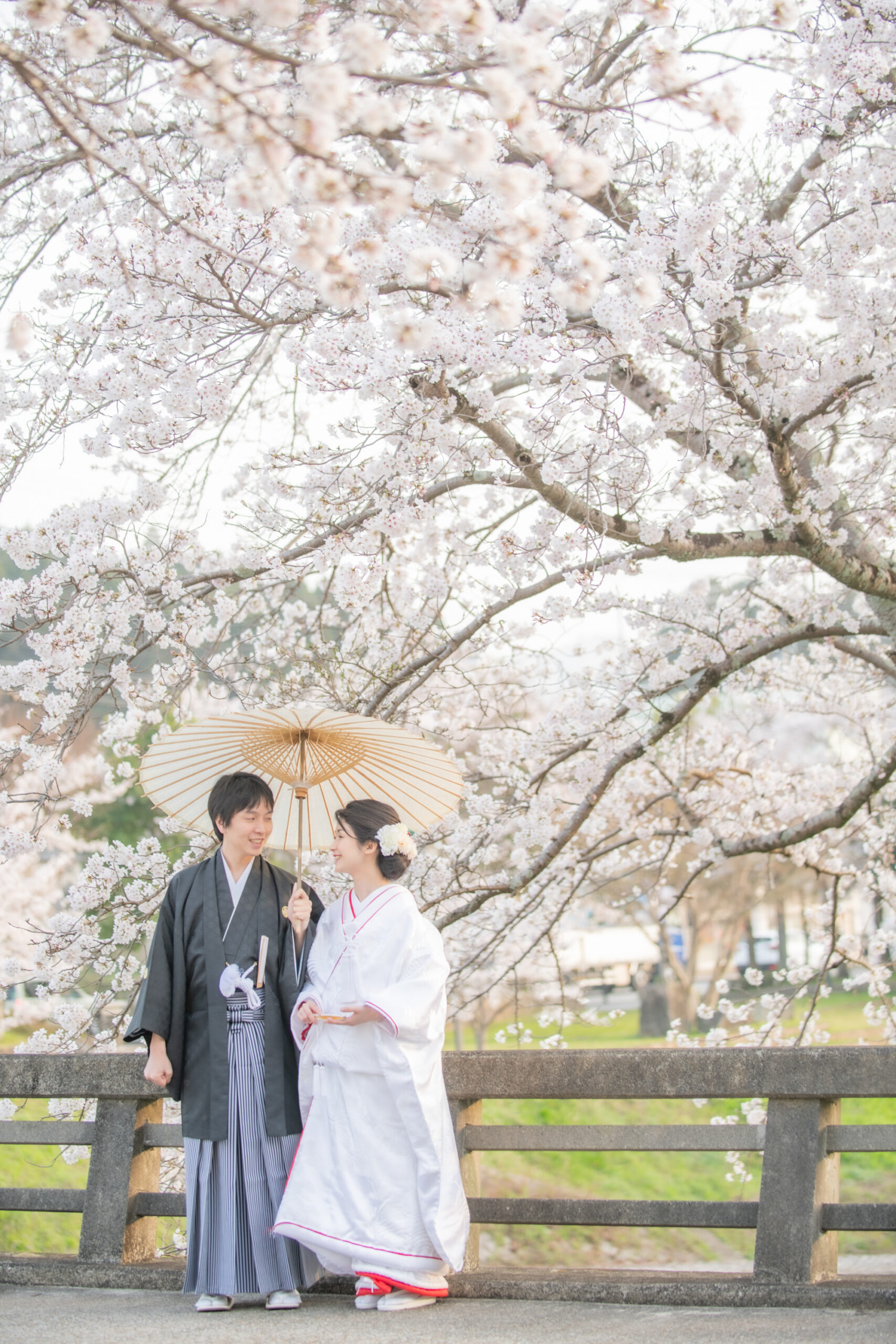 桜が映えるおすすめロケーション5選 宇治