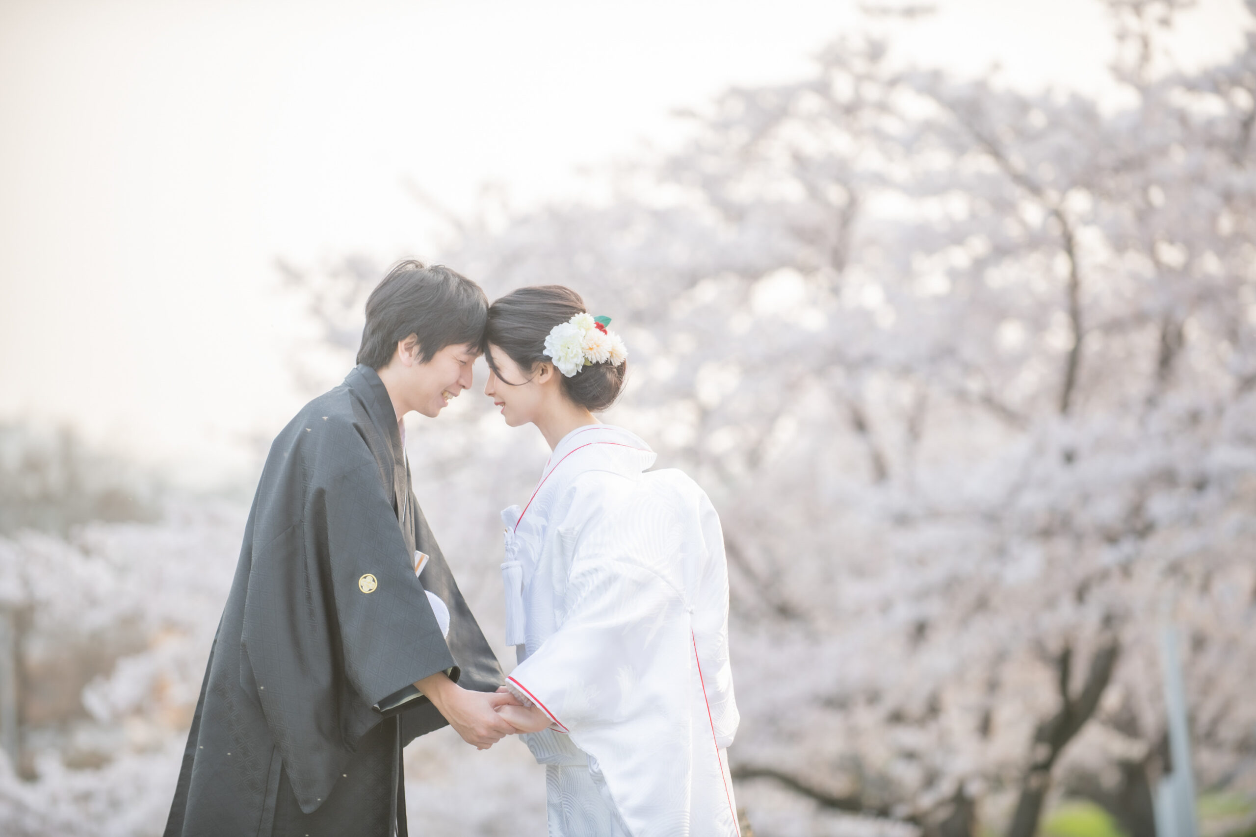 桜が映えるおすすめロケーション5選 宇治