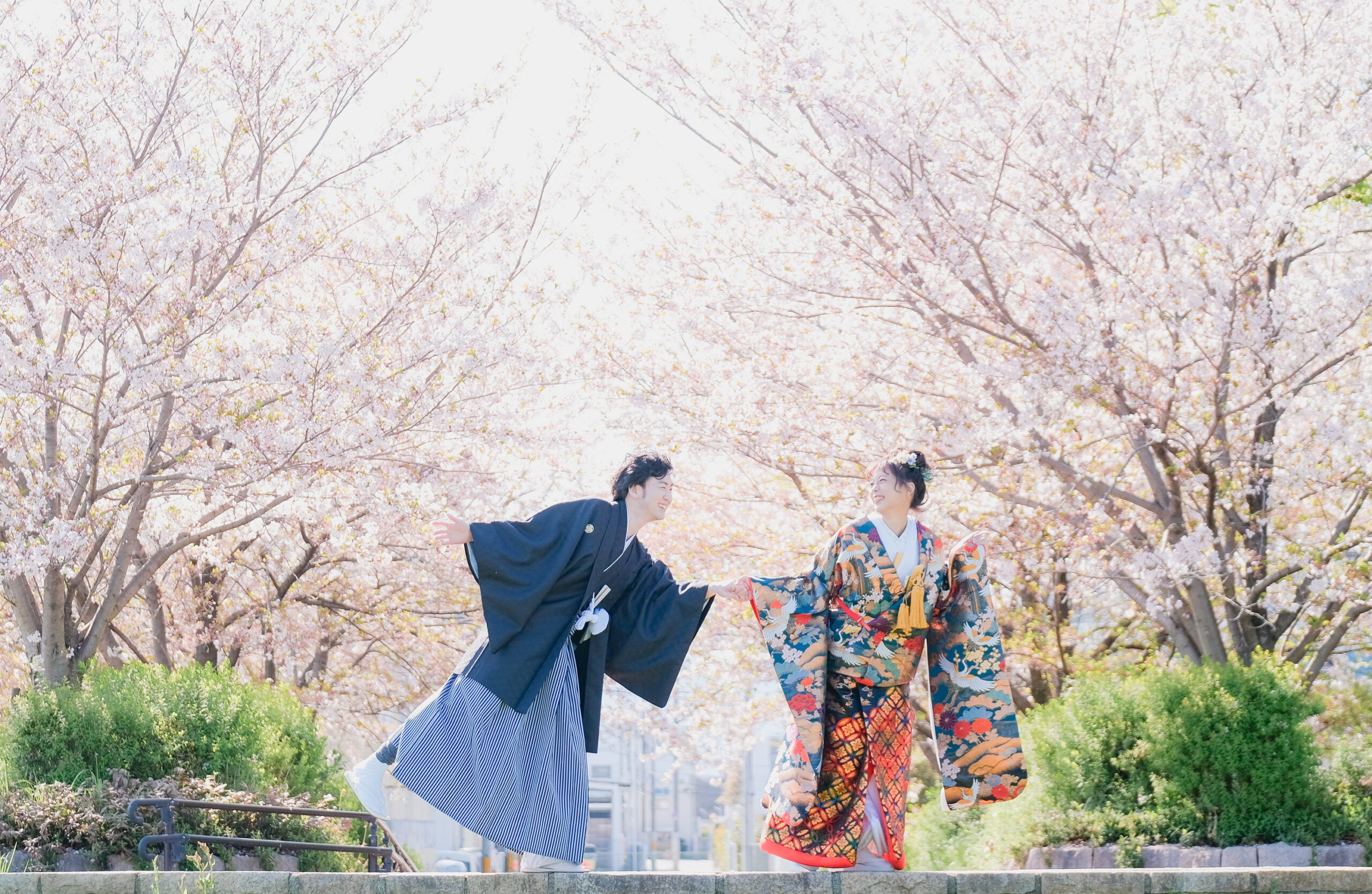 桜が映えるおすすめロケーション5選 鴨川