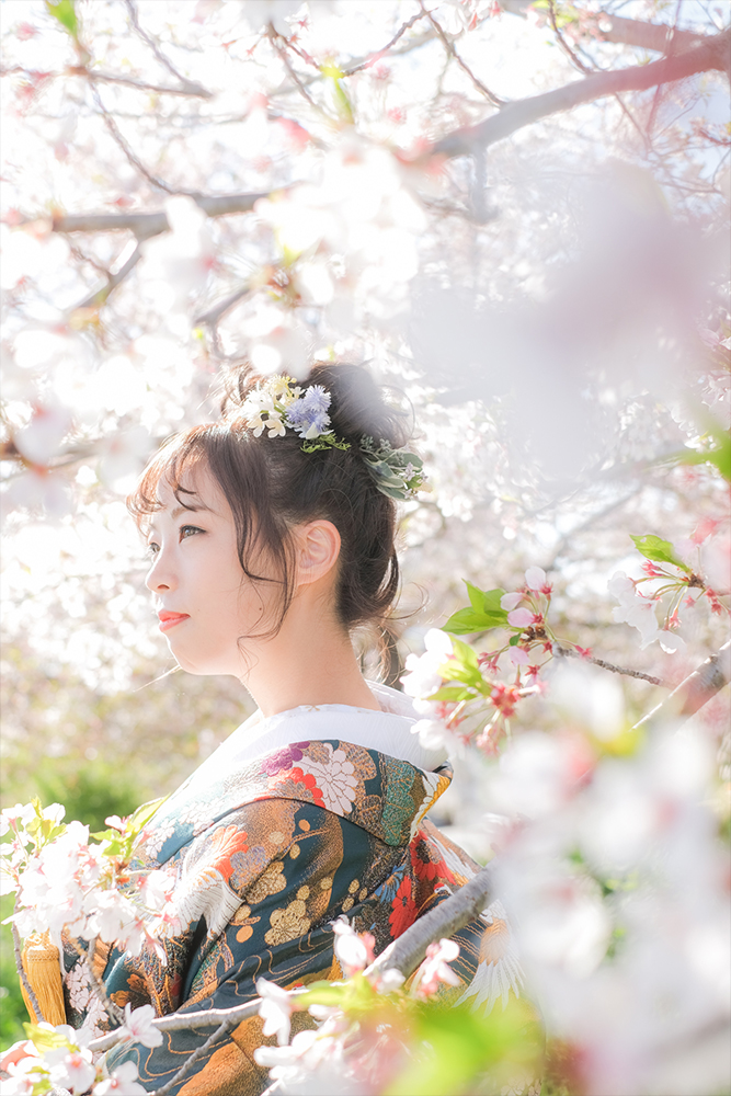 桜が映えるおすすめロケーション5選 鴨川