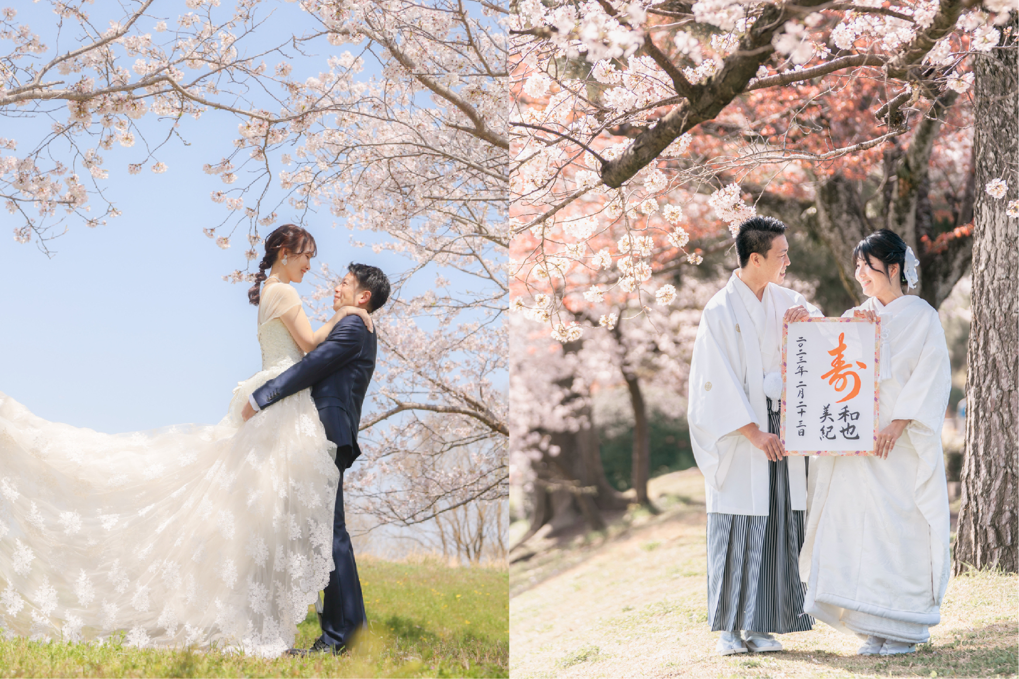 桜が映えるおすすめロケーション「和装 vs 洋装」あなたはどっち？