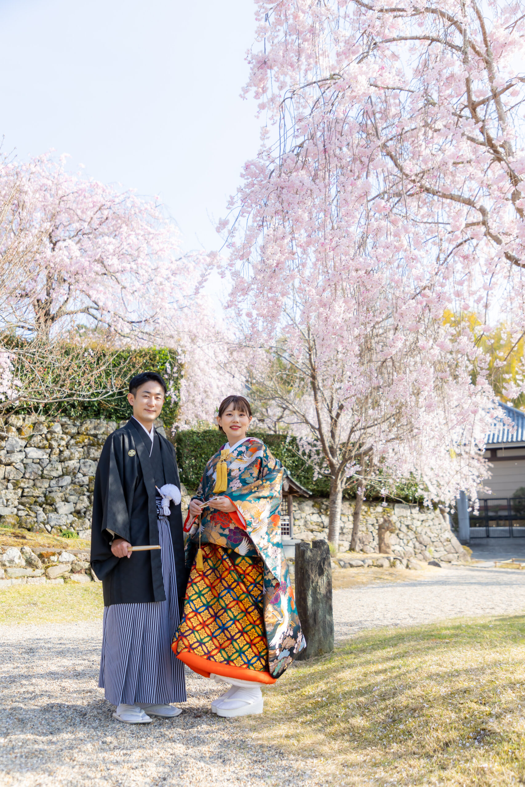 桜が映えるおすすめロケーション5選 圓光寺