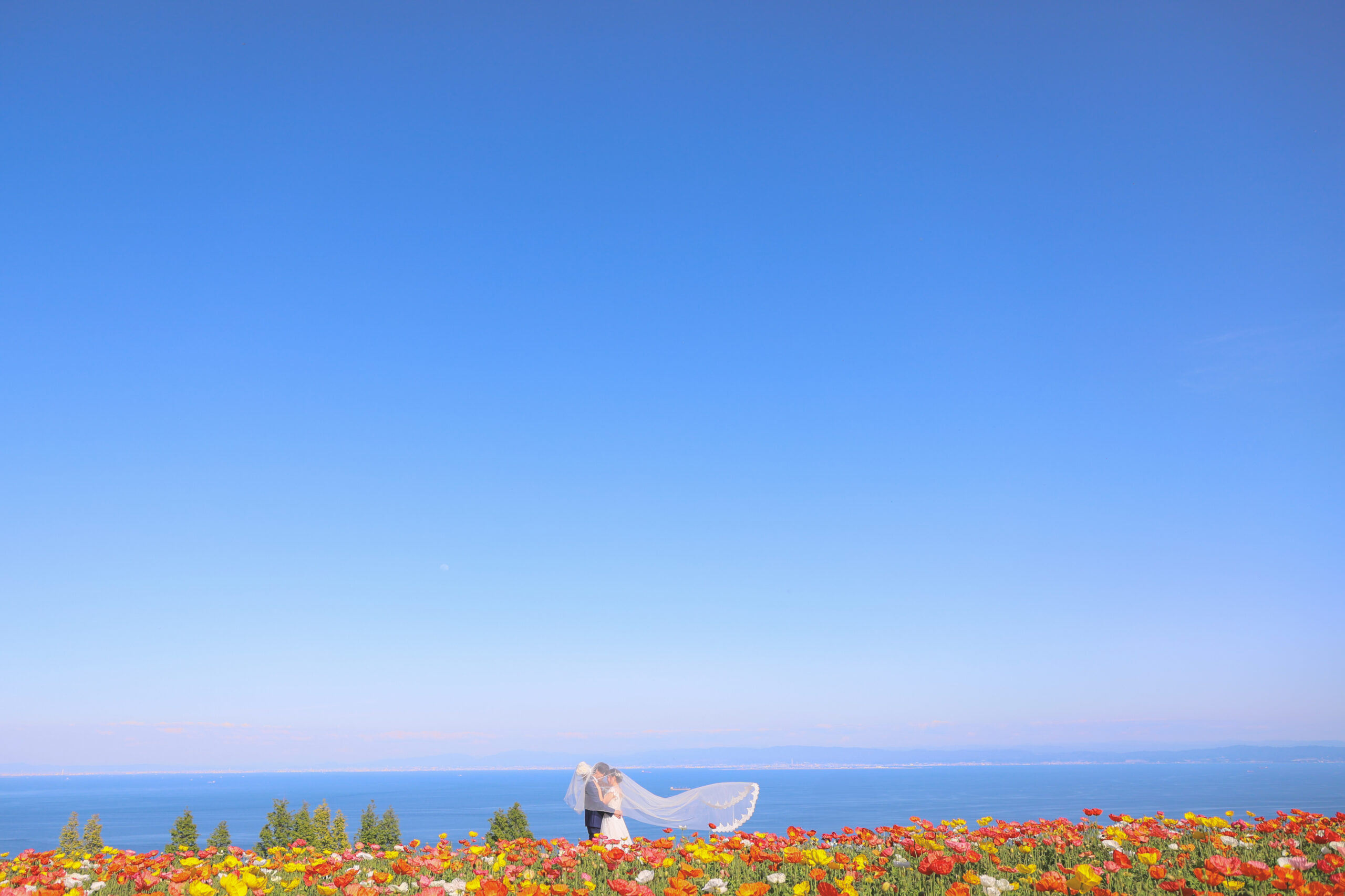 淡路島フォトウェディング 撮影例