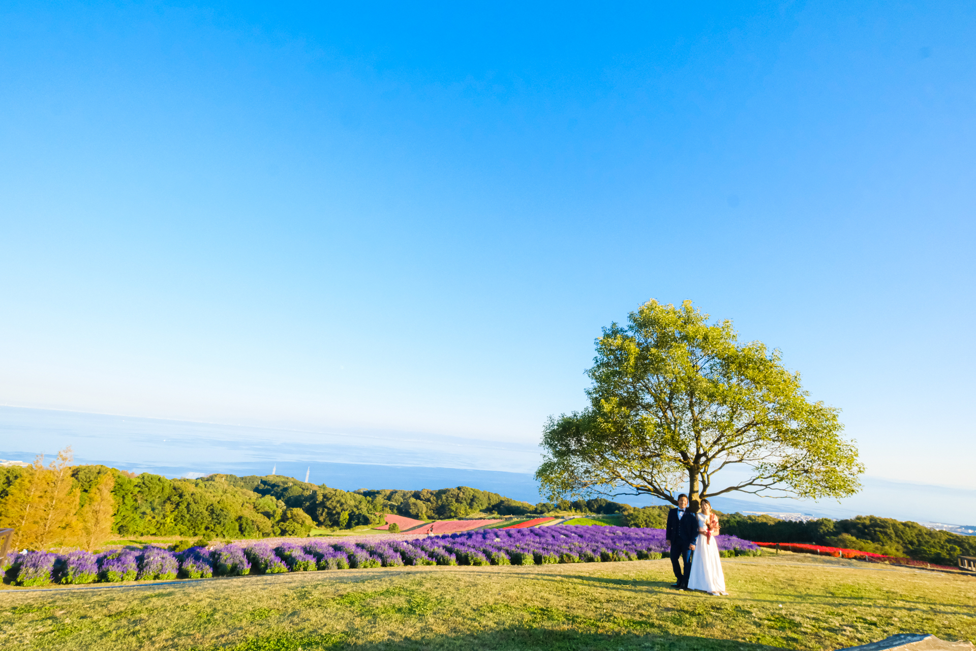 淡路島フォトウェディング 撮影例