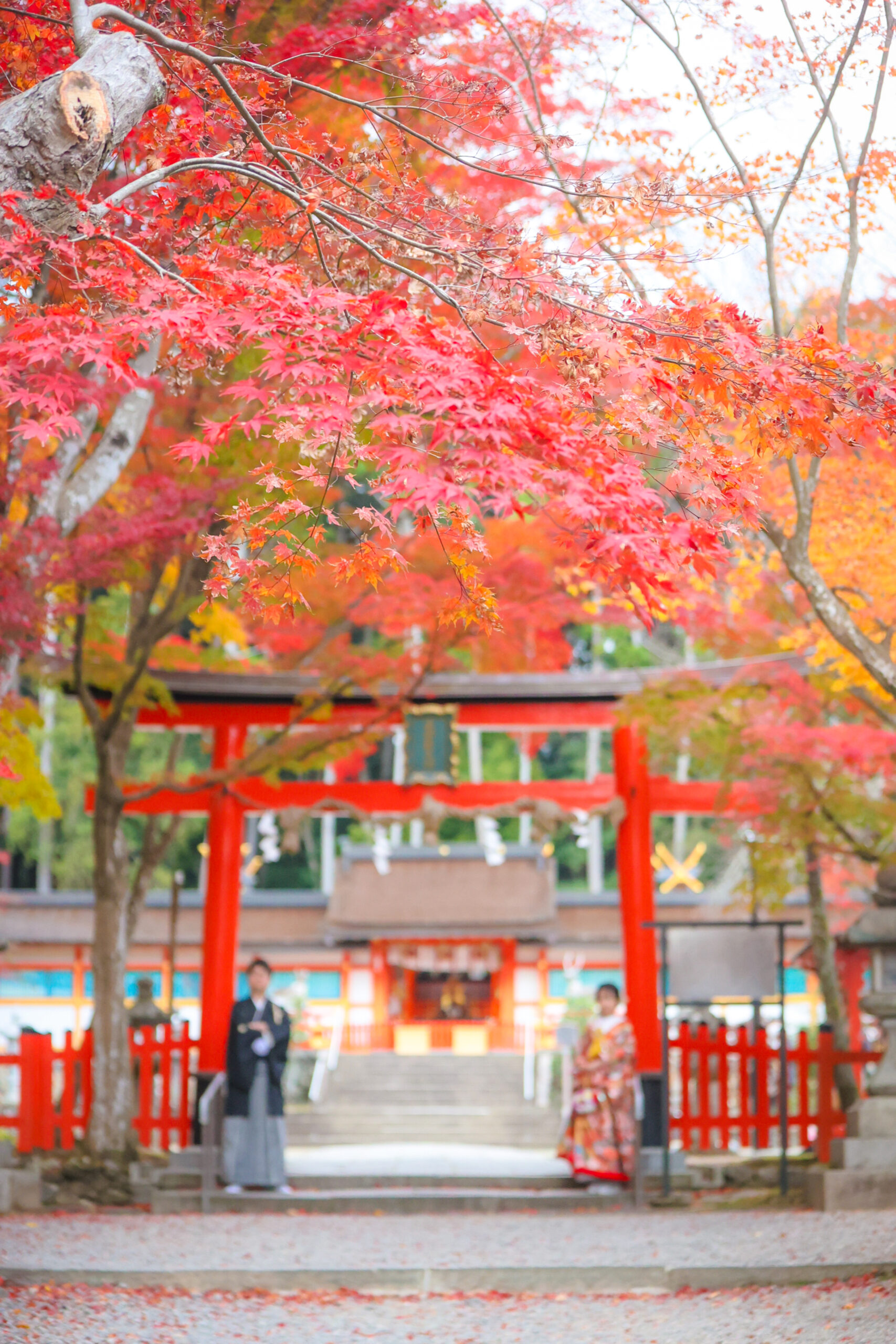 京都フォトウエディング 撮影例