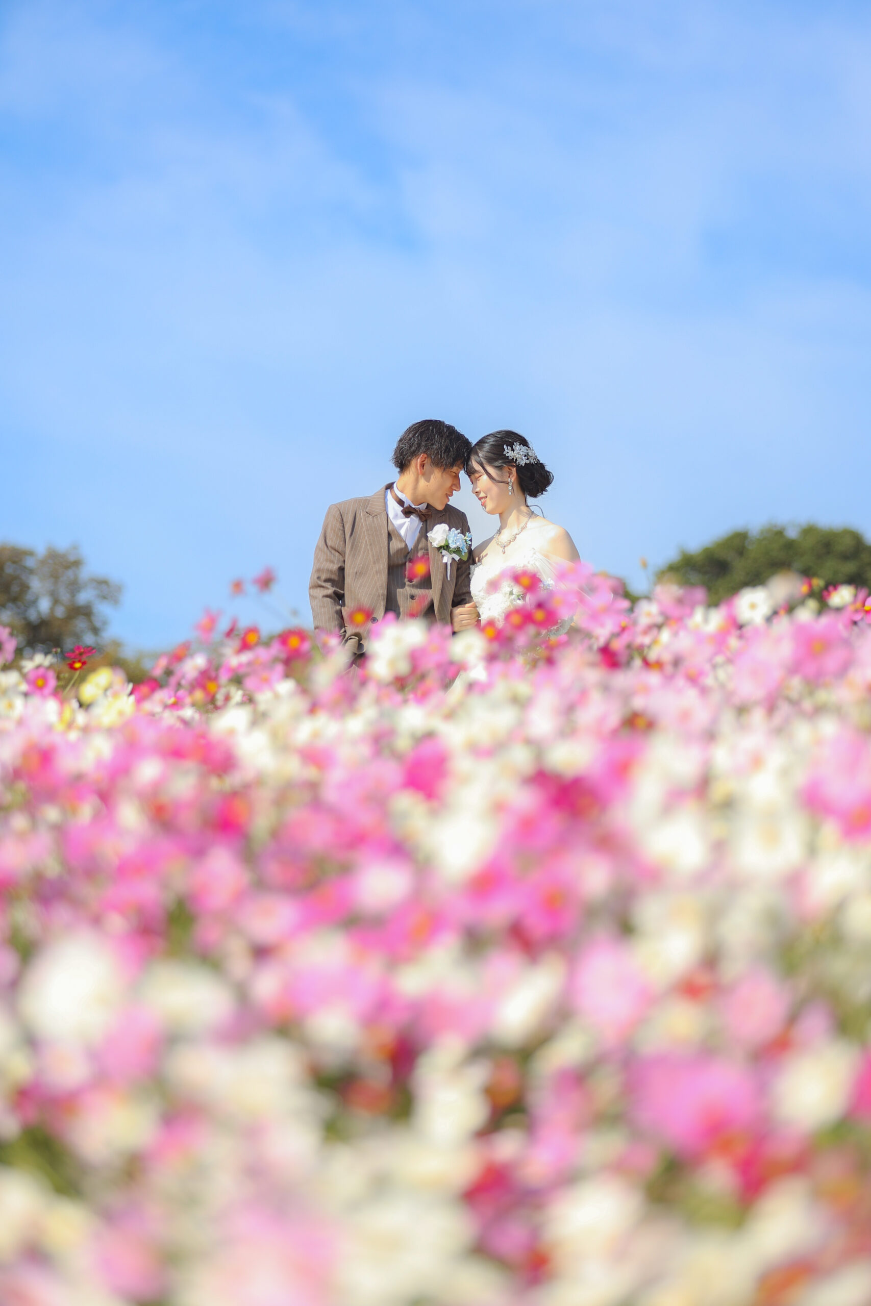 旅フォトプラン 撮影例