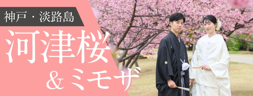 【早春キャンペーン】ミモザ＆河津桜